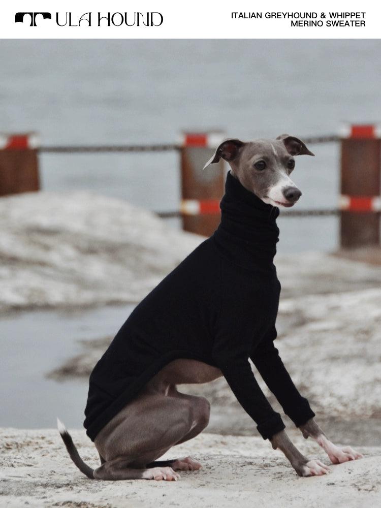 Cc dog sweater online